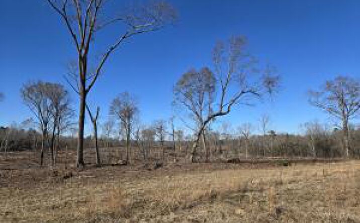 Pictures of Land property located at Tbd 5a Atomic Road, Beech Island, SC 29842 for sales - image #1