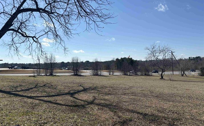 Pictures of Land property located at 3101 Hwy 5 N, Benton, AR 72019 for sales - image #1