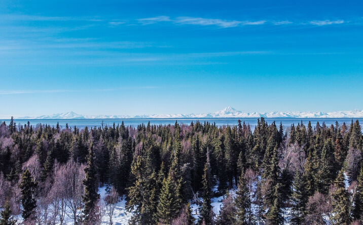 Pictures of Land property located at L1-2 Kalifornsky Beach Rd, Kenai, AK 99611 for sales - image #1