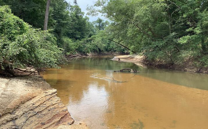 Pictures of Land property located at AL-106, Brantley, AL 36009 for sales - image #1
