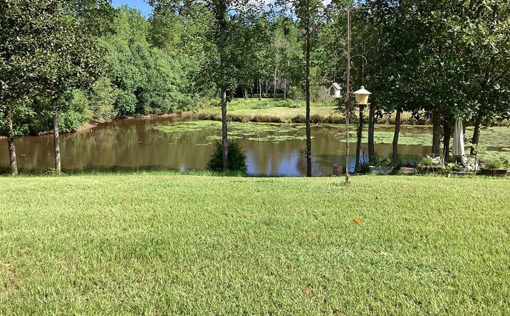 Pictures of Retail, Land property located at 1991 Ballard Rd, Luverne, AL 36049 for sales - image #1