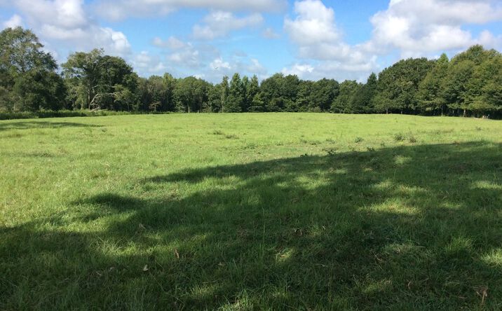 Pictures of Land property located at 4837 Quail Tower Rd, Luverne, AL 36049 for sales - image #1