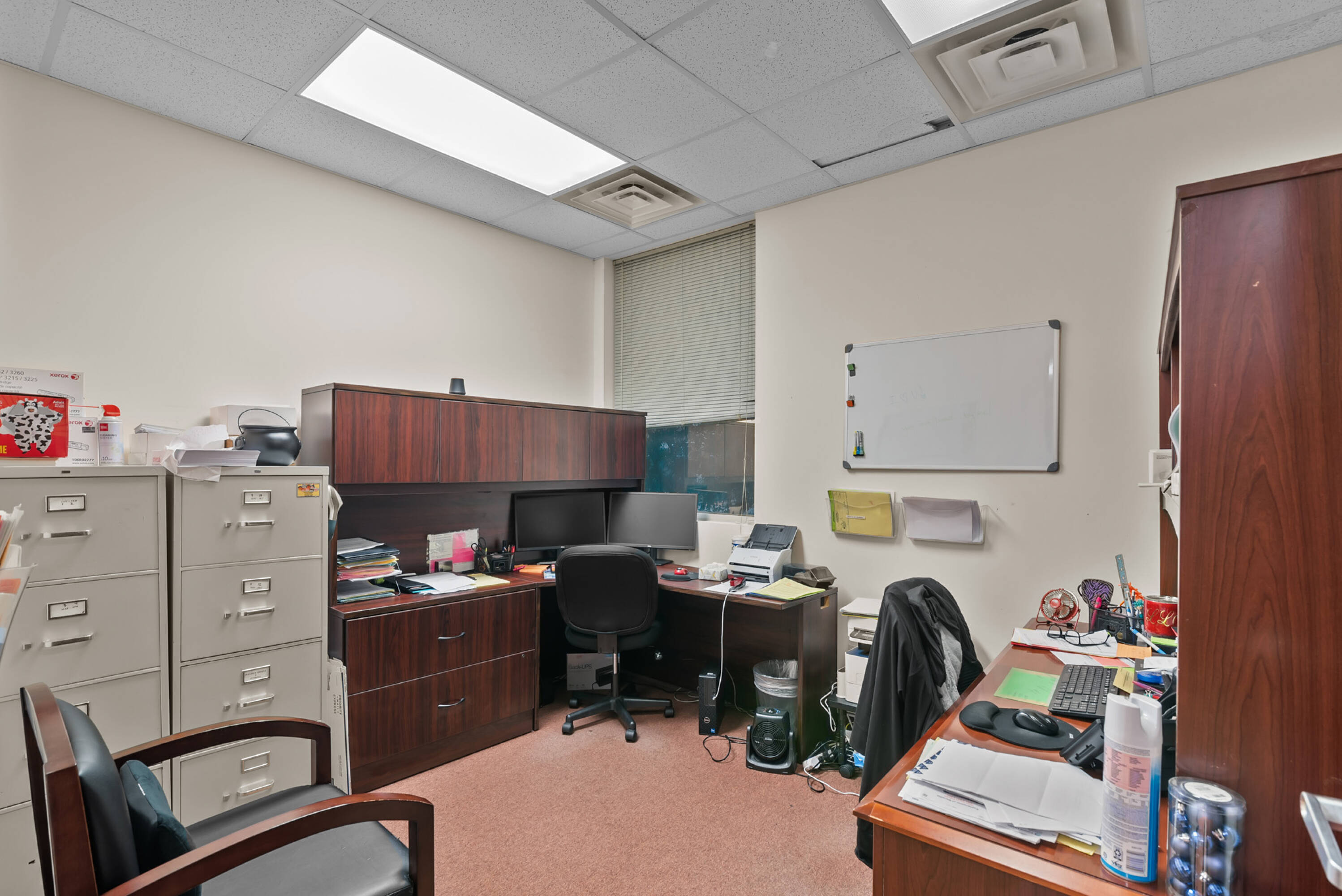 Forest Pediatrics