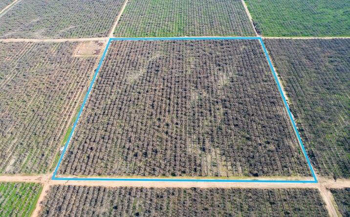 Pictures of Land property located at 27000 Ave 20 1/2, Madera, CA 93638 for sales - image #1