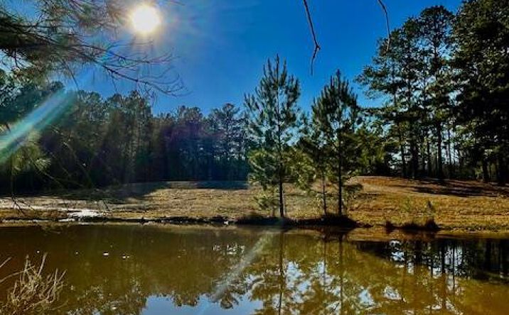 Pictures of Land, Multifamily, Special Purpose property located at 6727 HWY 43 N, Poplarville, MS 39470 for sales - image #1