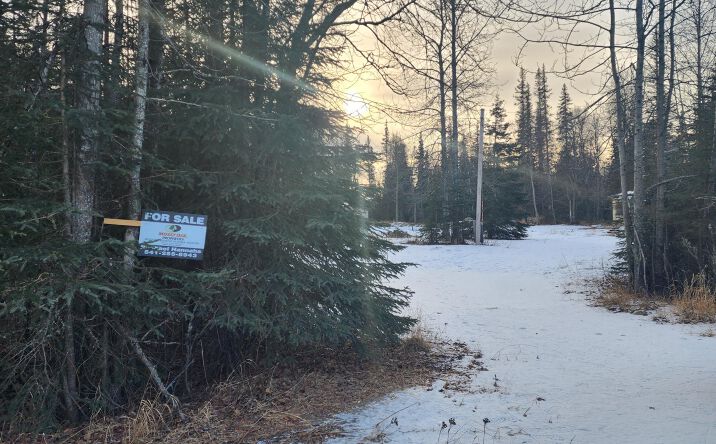 Pictures of Land property located at 45124 Holt-Lamplight Rd, Kenai, AK 99611 for sales - image #1