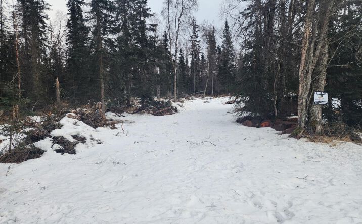 Pictures of Land property located at 48590 Duke St, Kenai, AK 99611 for sales - image #1