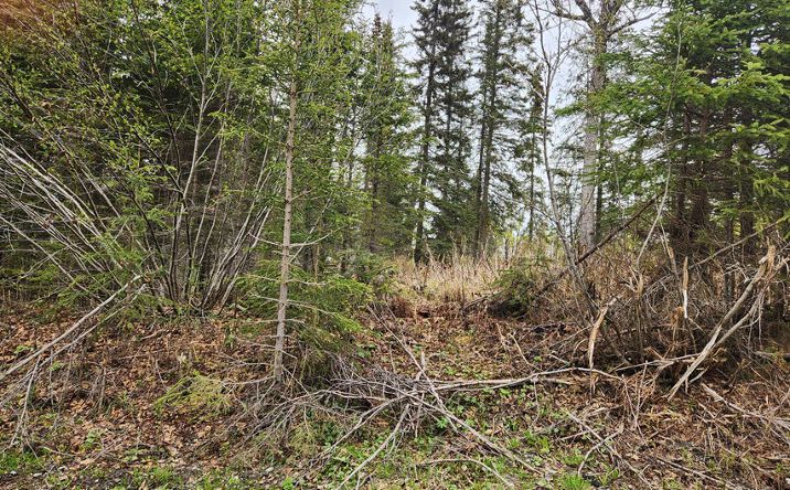Pictures of Land property located at Holly-Beck St, Nikiski, AK 99611 for sales - image #1