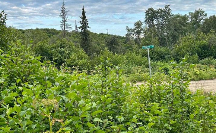 Pictures of Land property located at 51580 Tordrillo Ln, Kenai, AK 99611 for sales - image #1