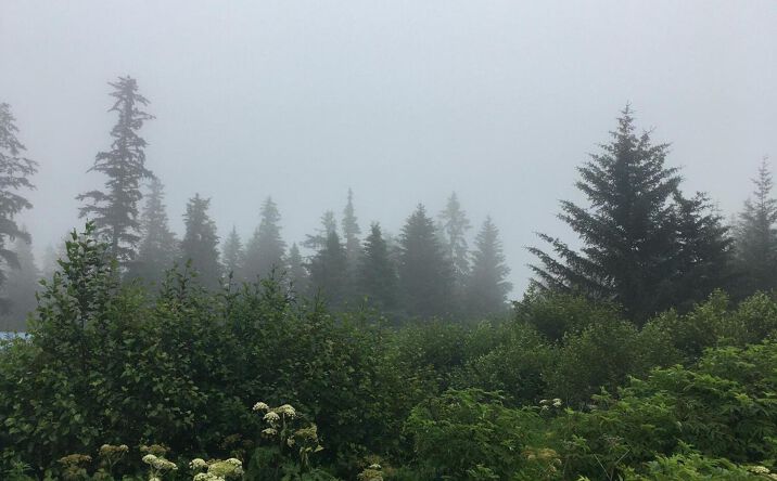 Pictures of Land property located at 26940 Sterling Hwy, Anchor Point, AK 99556 for sales - image #1