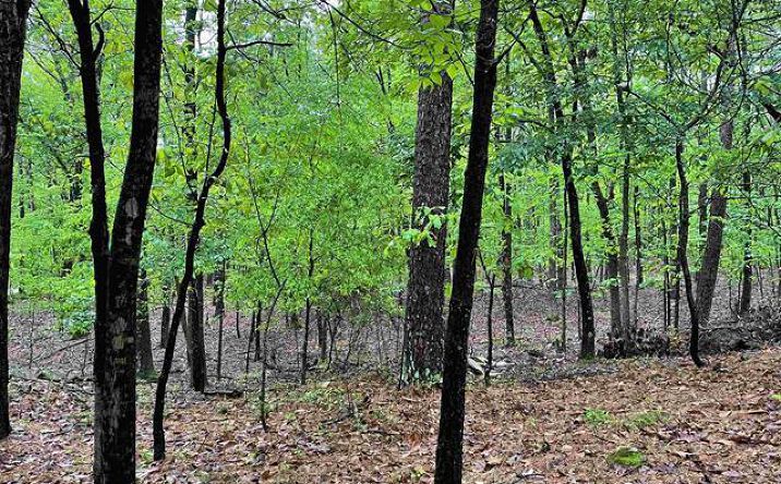 Pictures of Land property located at Charlon St, Hot Springs, AR 71913 for sales - image #1