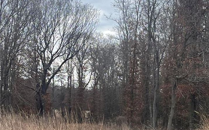 Pictures of Land property located at 0 E 610th Avenue, Pittsburg, KS 66762 for sales - image #1