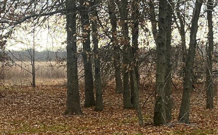 Pictures of Land property located at 00 E 610th Avenue, Pittsburg, KS 66762 for sales - image #1