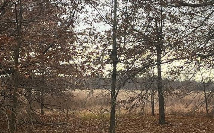 Pictures of Land property located at 000 E 610th Avenue, Pittsburg, KS 66762 for sales - image #1