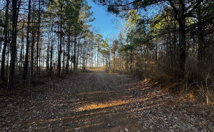 Pictures of Land property located at 1800 Chaney RD, Redfield, AR 72132 for sales - image #1