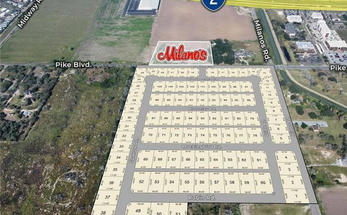 Pictures of Land, Multifamily property located at 2600 Robin Rd Lot 58, Weslaco, TX 78596 for sales - image #1