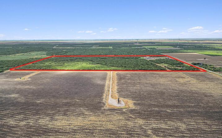 Pictures of Land property located at 0 Citation, Lyford, TX 78569 for sales - image #1