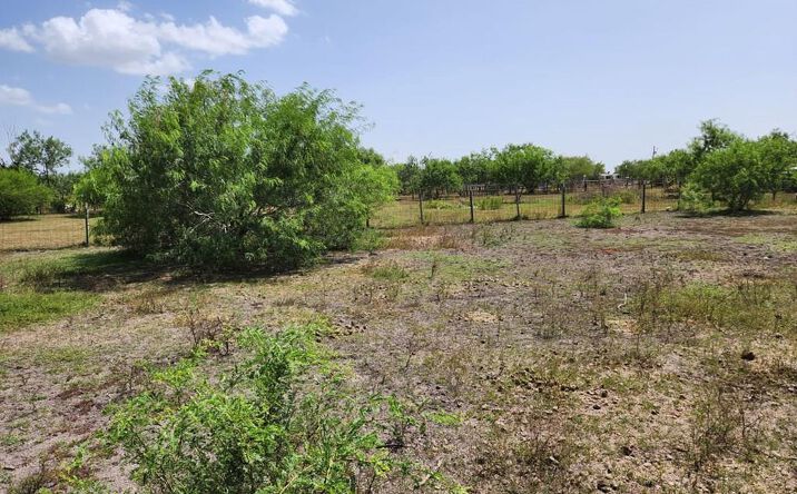 Pictures of Land, Multifamily property located at 28423 Fm 803, San Benito, TX 78586 for sales - image #1