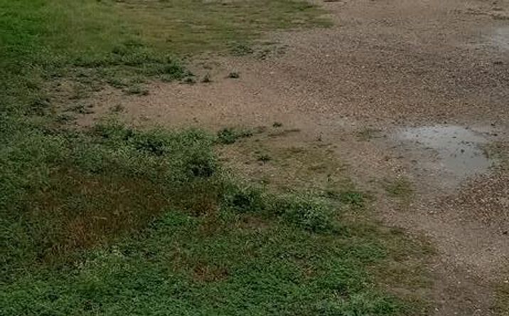 Pictures of Land property located at 206 W Tyler Ave. # 13, Harlingen, TX 78550 for sales - image #1