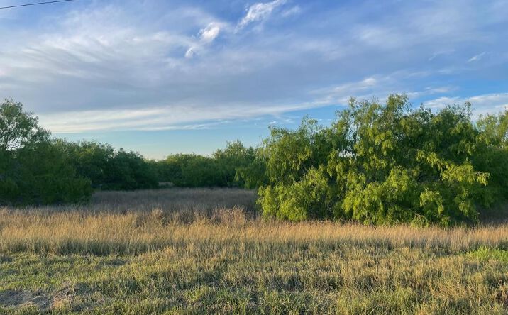 Pictures of Land property located at 0 Fm 1732, Olmito, TX 78520 for sales - image #1