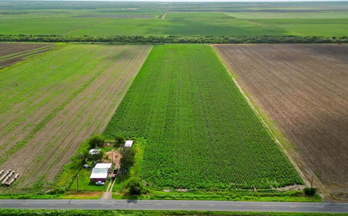 Pictures of Land property located at 18.34 Fm 2556, Santa Rosa, TX 78593 for sales - image #1
