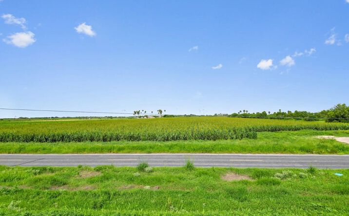 Pictures of Land property located at 33.84 Fm 506, Santa Rosa, TX 78593 for sales - image #1