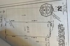 21629786