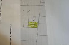 21629789