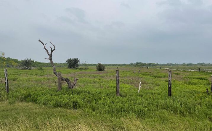 Pictures of Land property located at 00 N Parker Rd., La Feria, TX 78559 for sales - image #1