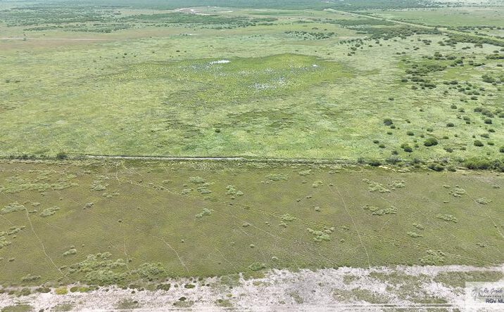 OLD NAVY IN BROWNSVILLE TX 78526 intelligence overview