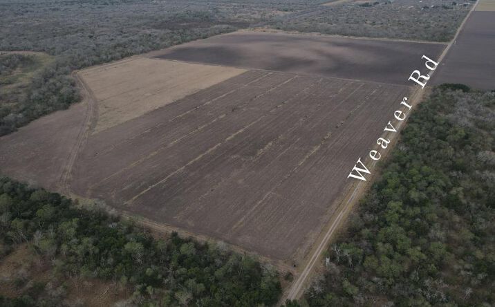 Pictures of Land property located at 00 Weaver Rd., San Benito, TX 78586 for sales - image #1