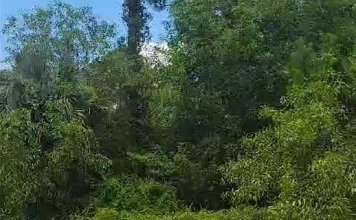 Pictures of Land property located at 3834 17th Street W, Lehigh Acres, FL 33971 for sales - image #1