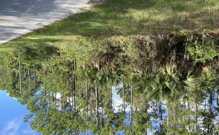 Pictures of Land property located at 2628 Port Smith Avenue SW, Palm Bay, FL 32908 for sales - image #1