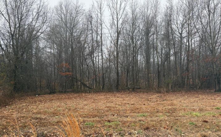 Pictures of Land property located at 0 Bondurant Road, Ripley, TN 38063 for sales - image #1