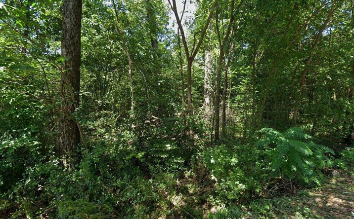 Pictures of Land property located at 106 and 118 Glen Dillon Drive, Jackson, TN 38305 for sales - image #1
