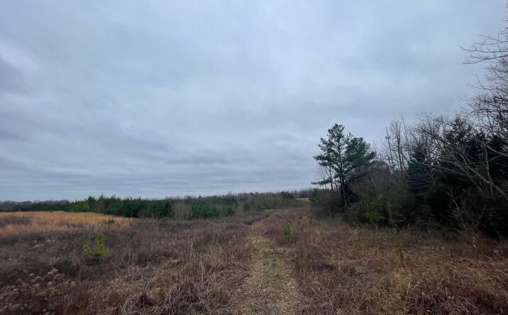 Pictures of Land, Industrial, Mixed Use, Multifamily, Retail property located at 0 Hwy 70 & Browns Church Road, Jackson, TN 38305 for sales - image #1