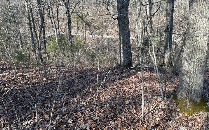 Pictures of Land property located at 000 Slabtown Road, Licking, PA 65542 for sales - image #1