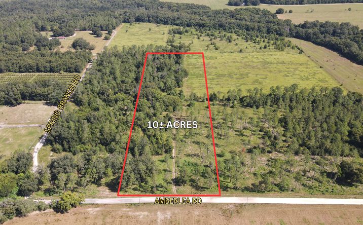 Pictures of Land property located at Amberlea Rd, Dade City, FL 33523 for sales - image #1