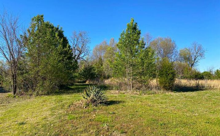 Pictures of Land property located at 007-14999-159 hwy 62 west, Mountain Home, AR 72653 for sales - image #1