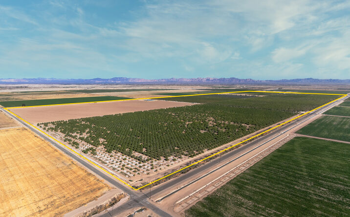 Pictures of Land property located at 7704 Blair Rd, Calipatria, CA 92233 for sales - image #1