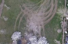 21669491
