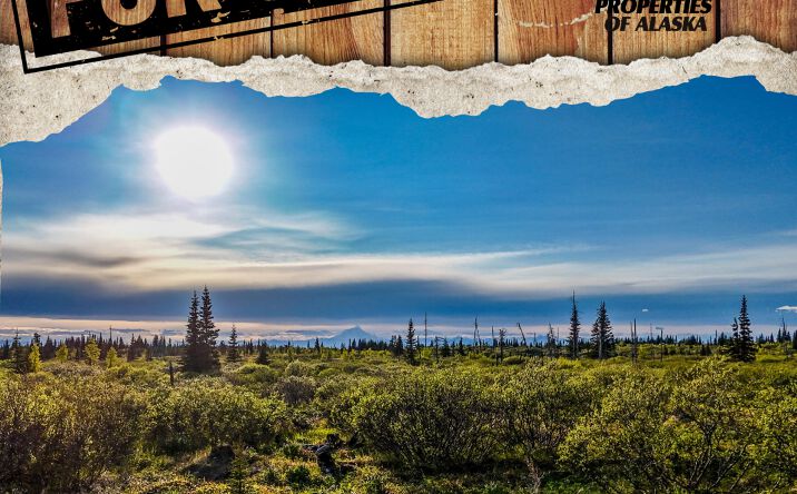 Pictures of Land property located at 0 Straight In Trail, Ninilchik, AK 99639 for sales - image #1
