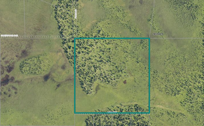 Pictures of Land property located at 69600 Indy Ave, Anchor Point, AK 99556 for sales - image #1