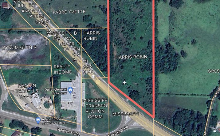 Pictures of Land, Multifamily, Industrial, Office property located at 3836 Hwy 43 N, Picayune, MS 39466 for sales - image #1