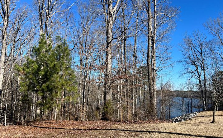 Pictures of Land property located at 0 Excalibur Trail (Lot 237), Cedar Grove, TN 38321 for sales - image #1