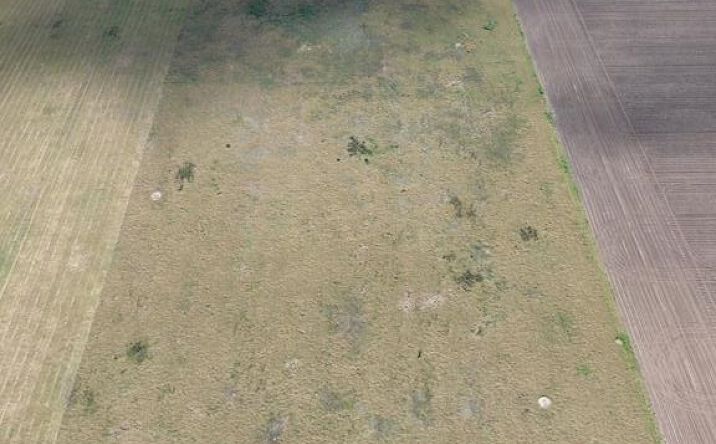 Pictures of Land property located at 15372 Fm 490, Raymondville, TX 78580 for sales - image #1