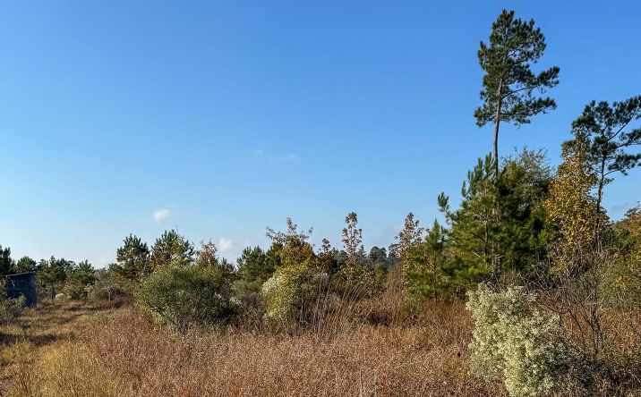 Pictures of Land property located at East Calhoun 100, Hampton, AR 71744 for sales - image #1
