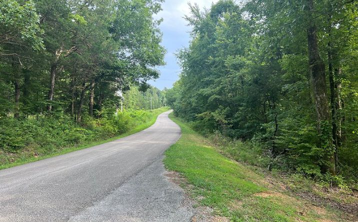 Pictures of Land property located at New Era Landing Rd, Linden, TN 37096 for sales - image #1