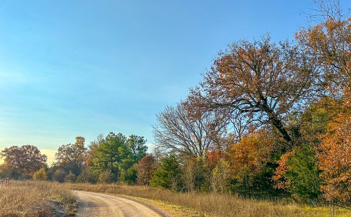 Pictures of Land property located at CR 4640, Avery, TX 75554 for sales - image #1