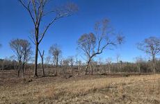 21693011